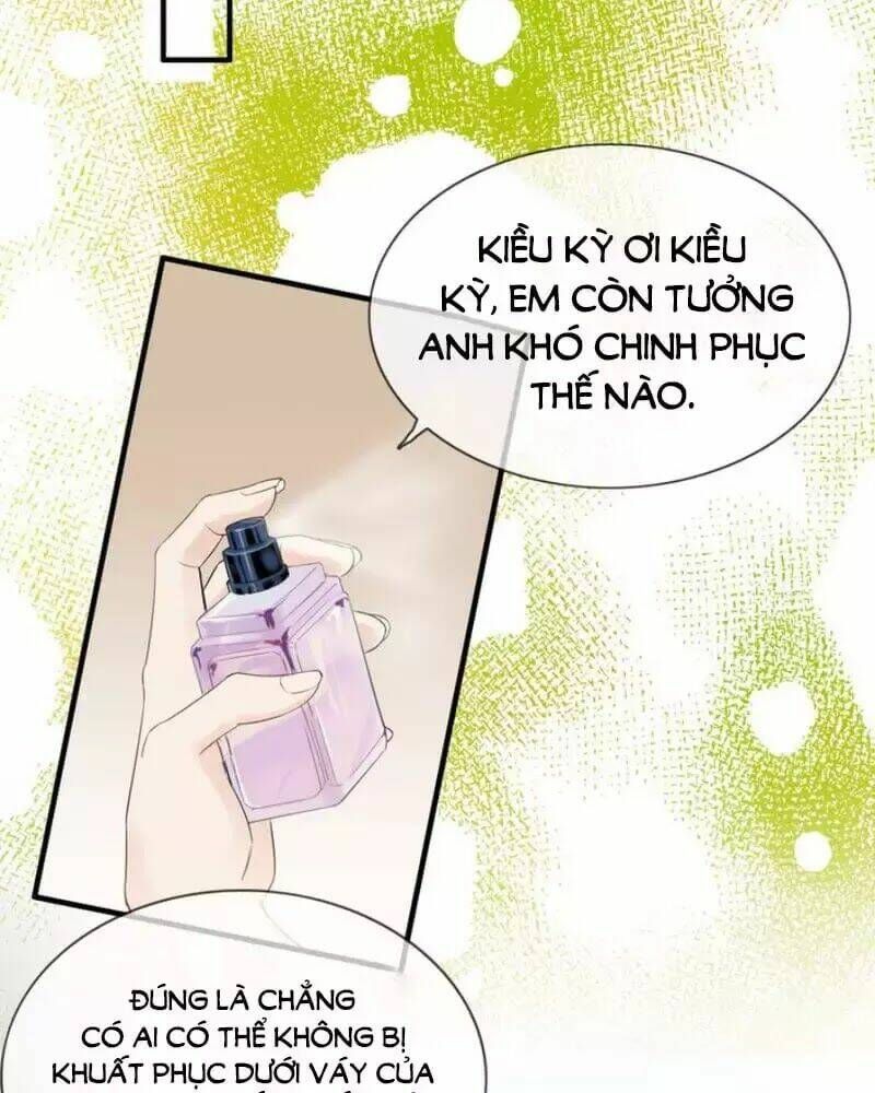 đọc truyện Cô Vợ Hợp Đồng Bỏ Trốn Của Tổng Giám Đốc Chương 250 ảnh 43 tại Thiên Thai Truyện