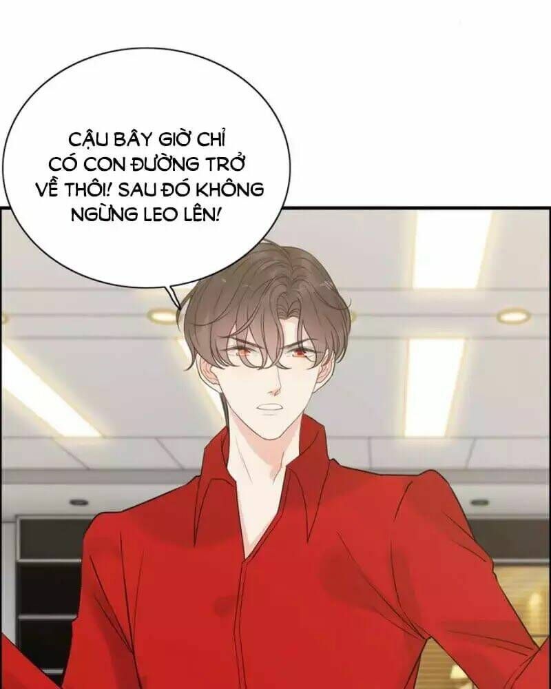 đọc truyện Cô Vợ Hợp Đồng Bỏ Trốn Của Tổng Giám Đốc Chương 251 ảnh 15 tại Thiên Thai Truyện