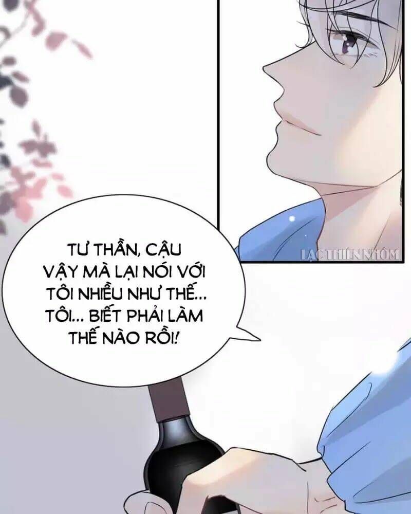 đọc truyện Cô Vợ Hợp Đồng Bỏ Trốn Của Tổng Giám Đốc Chương 251 ảnh 21 tại Thiên Thai Truyện