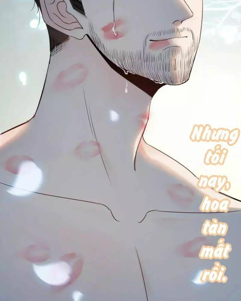 đọc truyện Cô Vợ Hợp Đồng Bỏ Trốn Của Tổng Giám Đốc Chương 251 ảnh 39 tại Thiên Thai Truyện