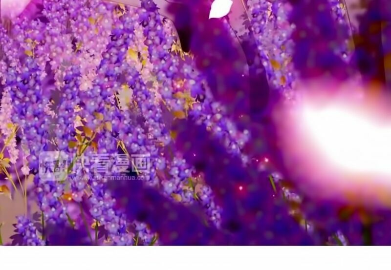 đọc truyện Cô Vợ Hợp Đồng Bỏ Trốn Của Tổng Giám Đốc Chương 26 ảnh 13 tại Thiên Thai Truyện