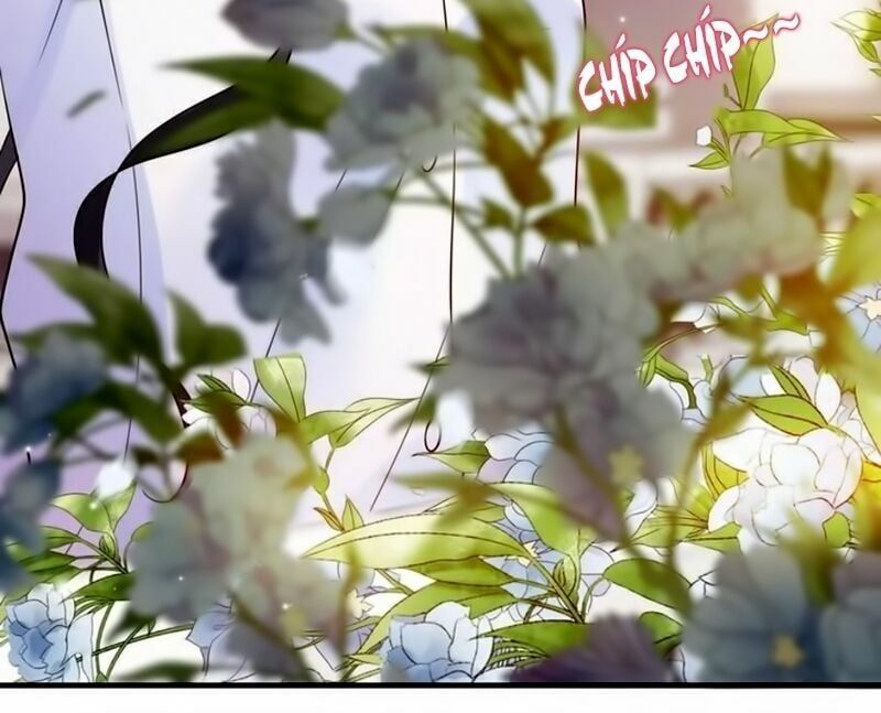 đọc truyện Cô Vợ Hợp Đồng Bỏ Trốn Của Tổng Giám Đốc Chương 26 ảnh 29 tại Thiên Thai Truyện