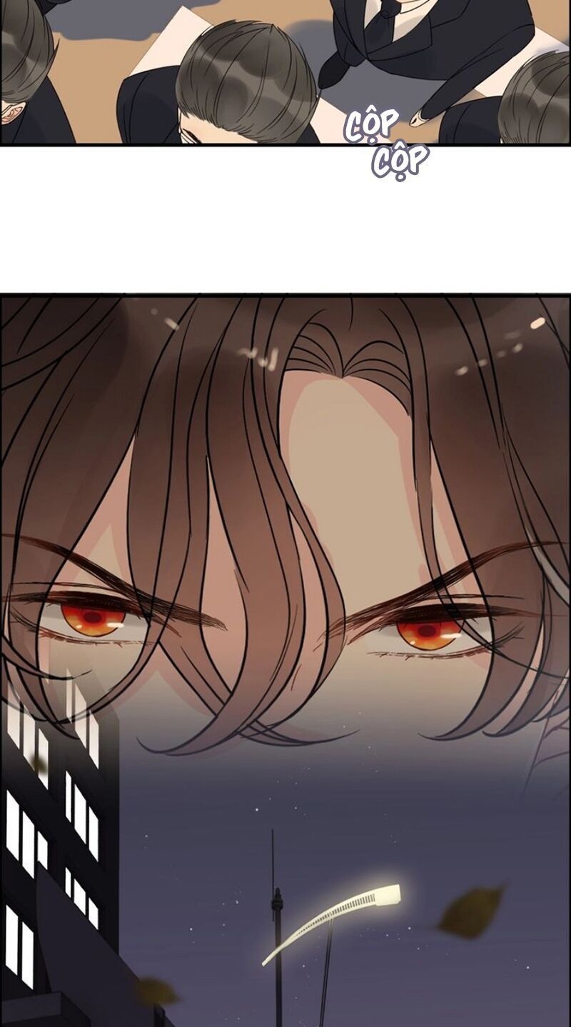 đọc truyện Cô Vợ Hợp Đồng Bỏ Trốn Của Tổng Giám Đốc Chương 261 ảnh 19 tại Thiên Thai Truyện