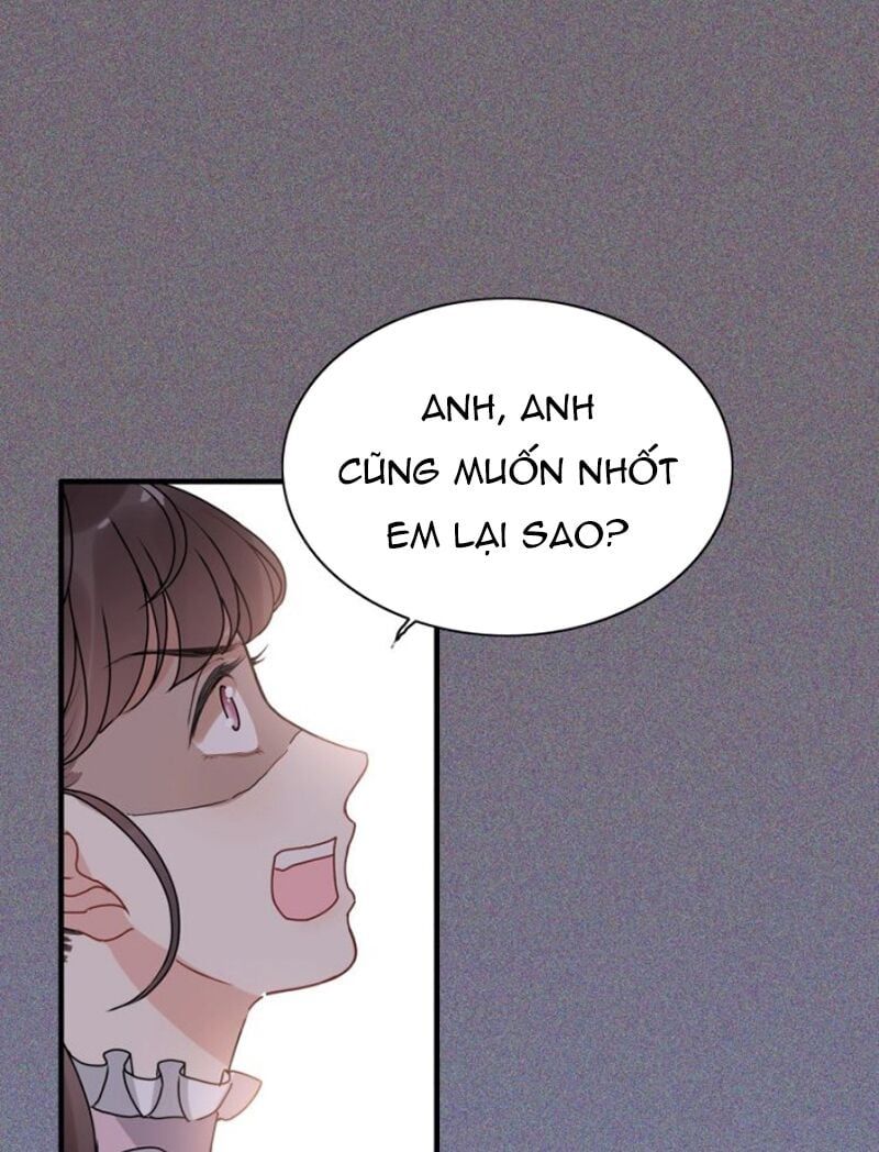 đọc truyện Cô Vợ Hợp Đồng Bỏ Trốn Của Tổng Giám Đốc Chương 280 ảnh 8 tại Thiên Thai Truyện