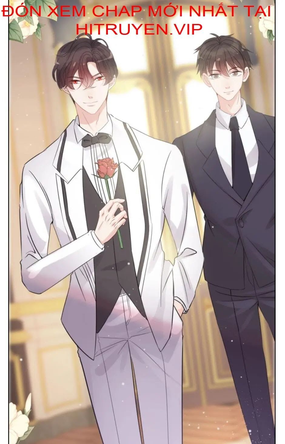 đọc truyện Cô Vợ Hợp Đồng Bỏ Trốn Của Tổng Giám Đốc Chương 291 ảnh 19 tại Thiên Thai Truyện