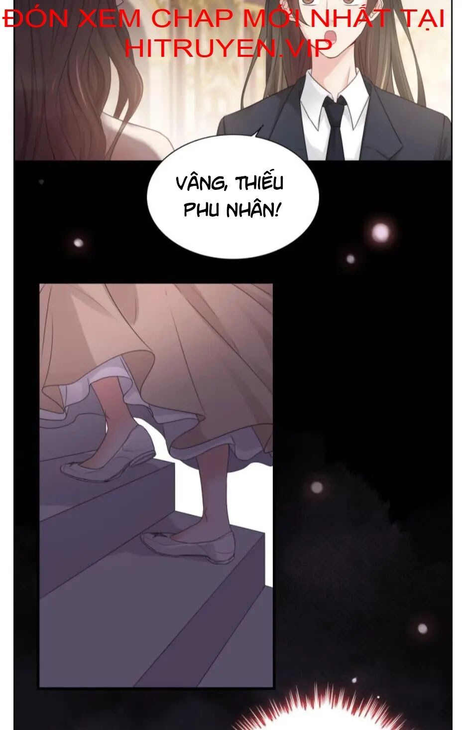 đọc truyện Cô Vợ Hợp Đồng Bỏ Trốn Của Tổng Giám Đốc Chương 291 ảnh 41 tại Thiên Thai Truyện