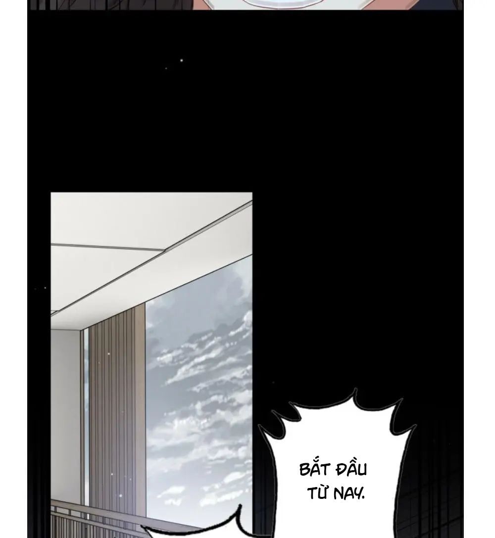 đọc truyện Cô Vợ Hợp Đồng Bỏ Trốn Của Tổng Giám Đốc Chương 295 ảnh 47 tại Thiên Thai Truyện