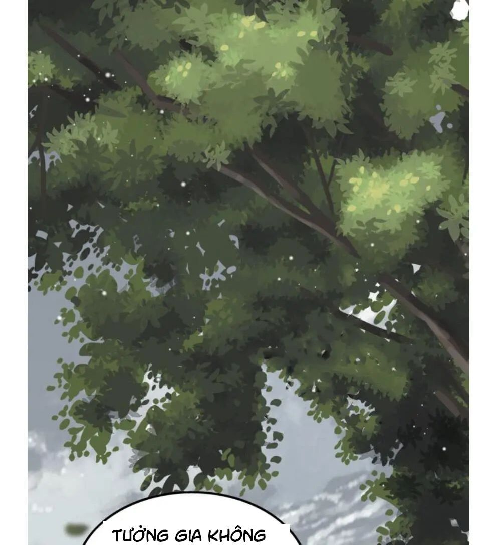 đọc truyện Cô Vợ Hợp Đồng Bỏ Trốn Của Tổng Giám Đốc Chương 295 ảnh 52 tại Thiên Thai Truyện