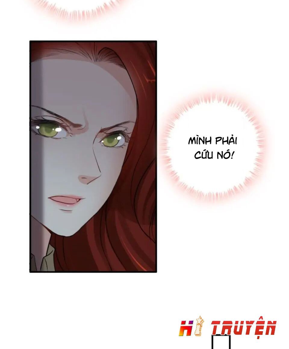 đọc truyện Cô Vợ Hợp Đồng Bỏ Trốn Của Tổng Giám Đốc Chương 296 ảnh 43 tại Thiên Thai Truyện