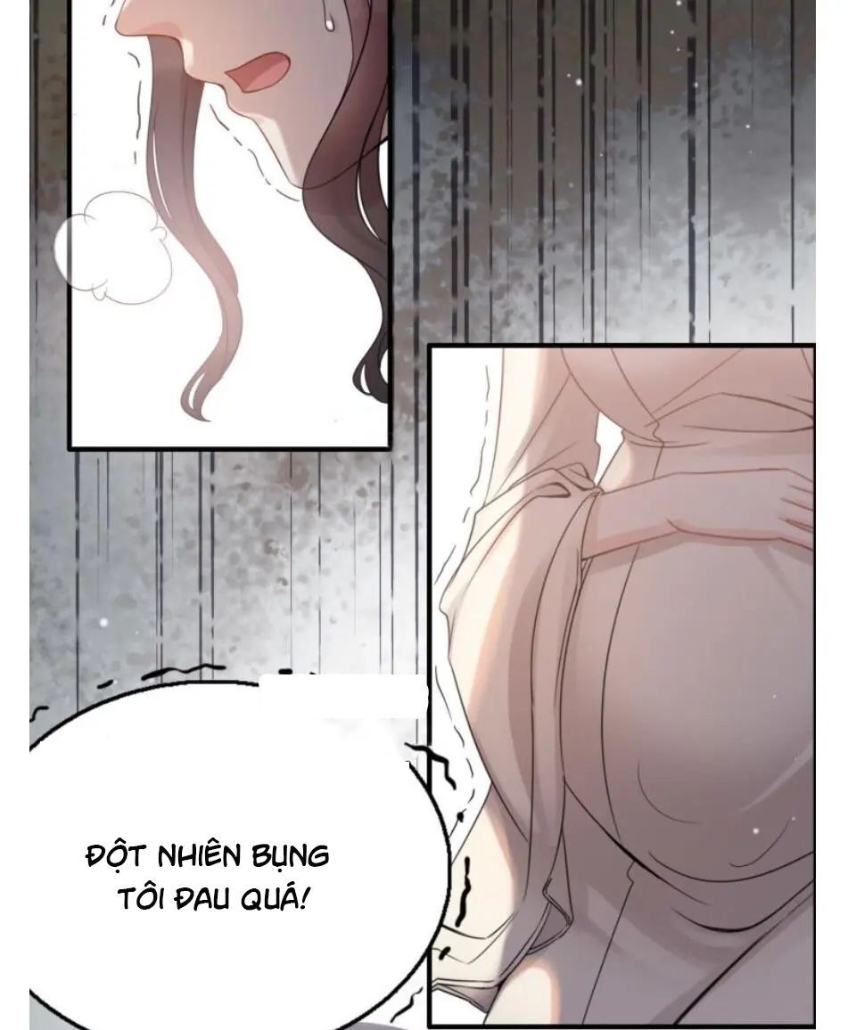 đọc truyện Cô Vợ Hợp Đồng Bỏ Trốn Của Tổng Giám Đốc Chương 296 ảnh 66 tại Thiên Thai Truyện