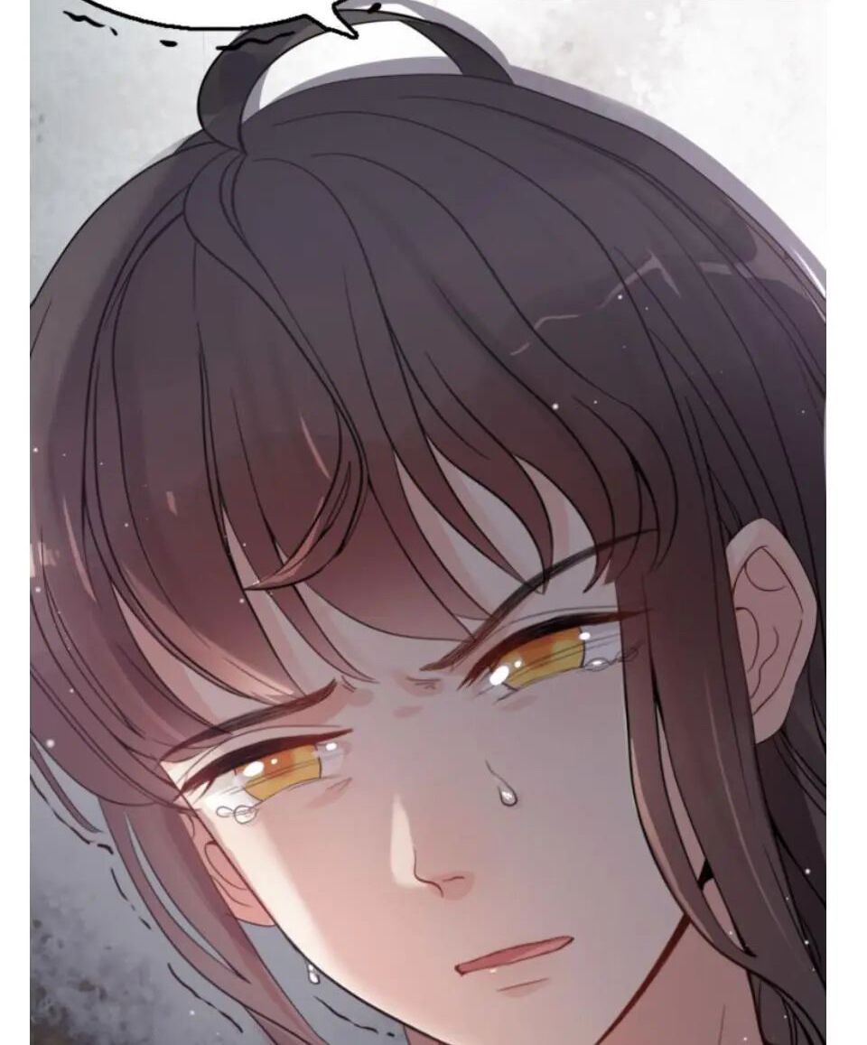 đọc truyện Cô Vợ Hợp Đồng Bỏ Trốn Của Tổng Giám Đốc Chương 296 ảnh 67 tại Thiên Thai Truyện