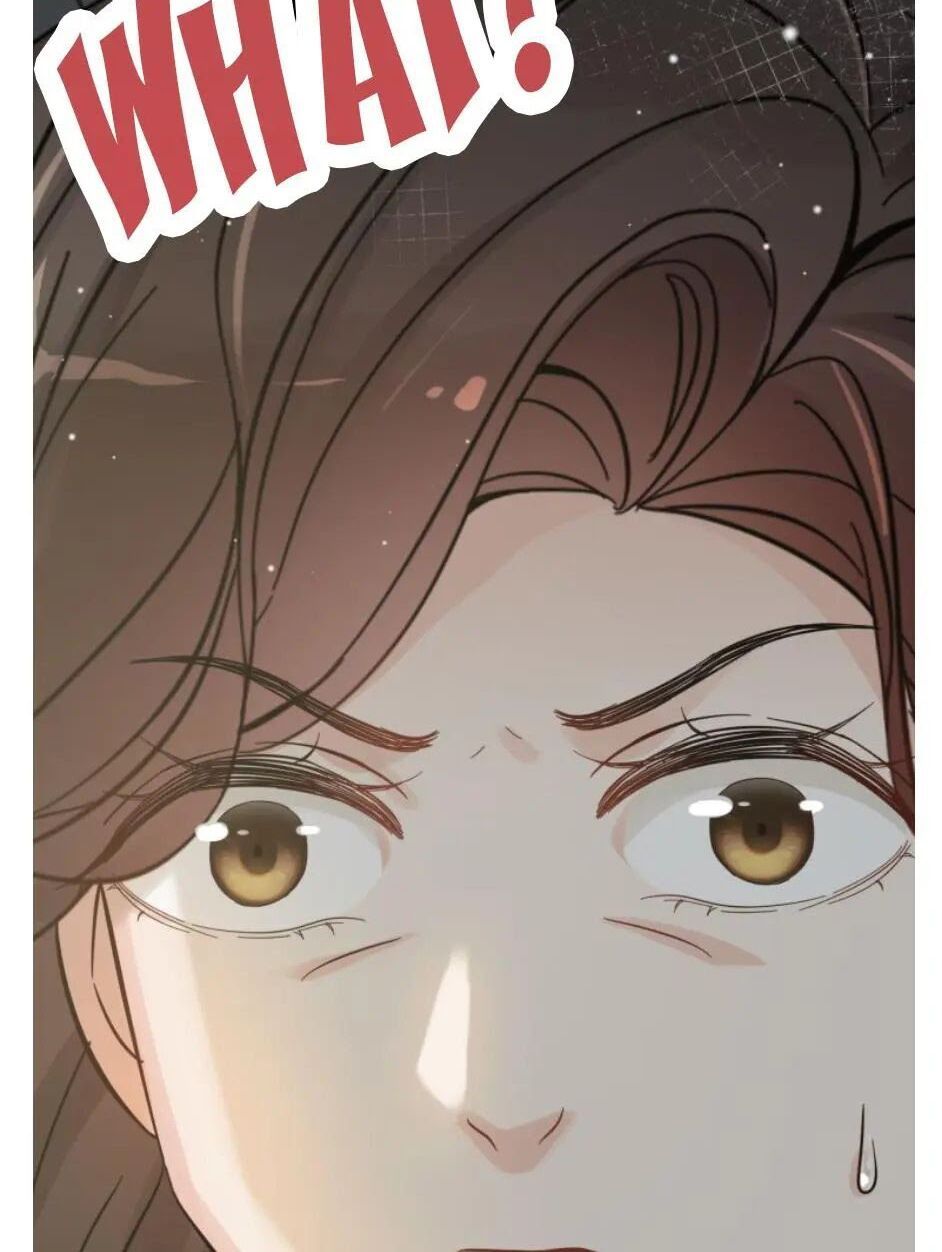 đọc truyện Cô Vợ Hợp Đồng Bỏ Trốn Của Tổng Giám Đốc Chương 300 ảnh 33 tại Thiên Thai Truyện