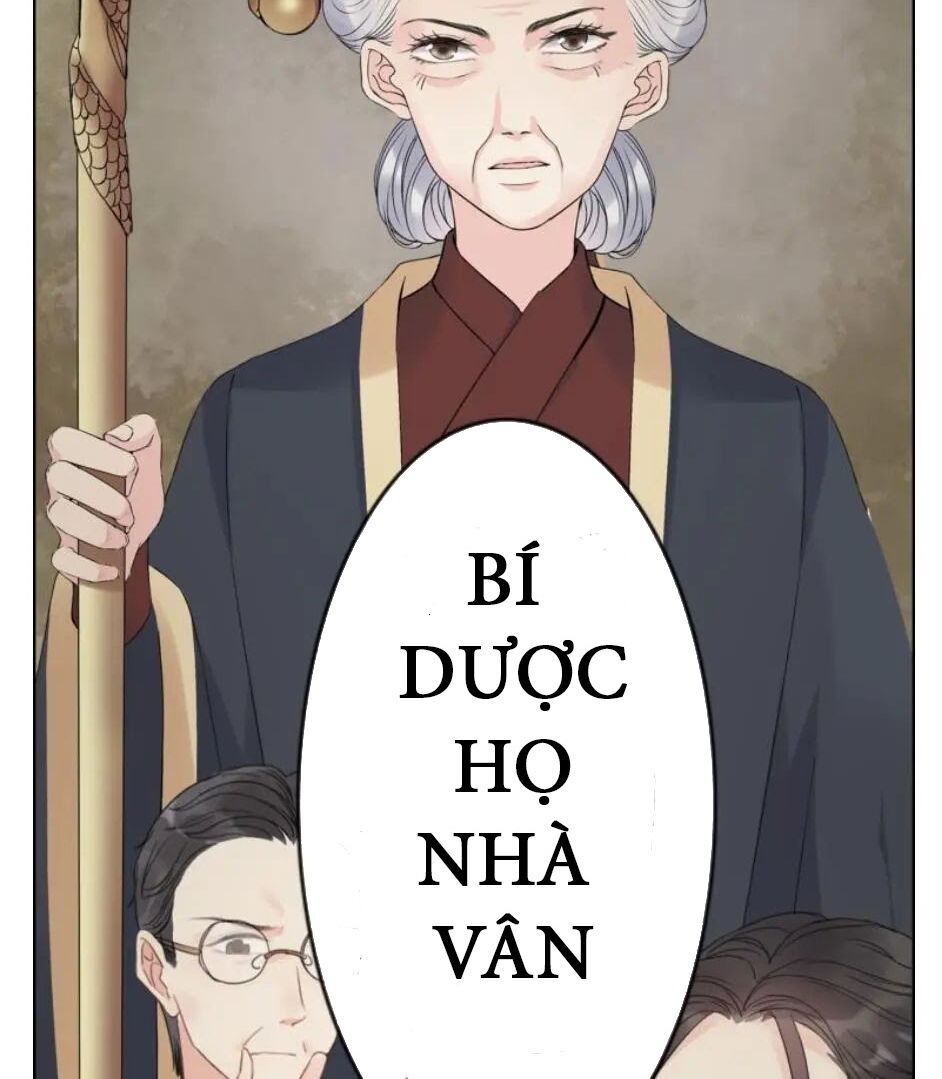 đọc truyện Cô Vợ Hợp Đồng Bỏ Trốn Của Tổng Giám Đốc Chương 300 ảnh 51 tại Thiên Thai Truyện