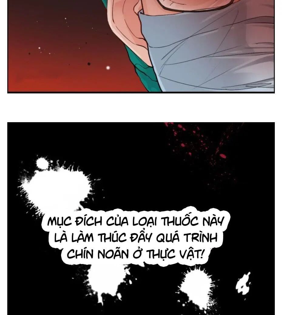 đọc truyện Cô Vợ Hợp Đồng Bỏ Trốn Của Tổng Giám Đốc Chương 301 ảnh 19 tại Thiên Thai Truyện