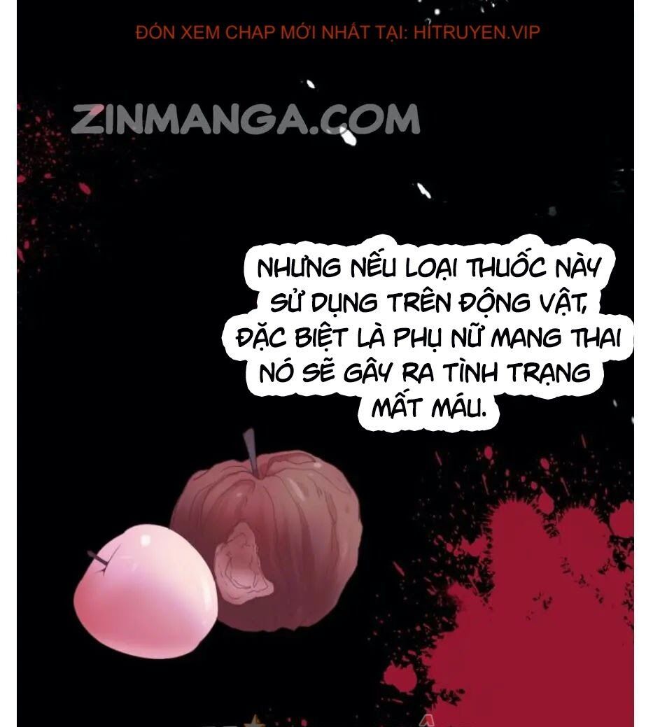 đọc truyện Cô Vợ Hợp Đồng Bỏ Trốn Của Tổng Giám Đốc Chương 301 ảnh 20 tại Thiên Thai Truyện