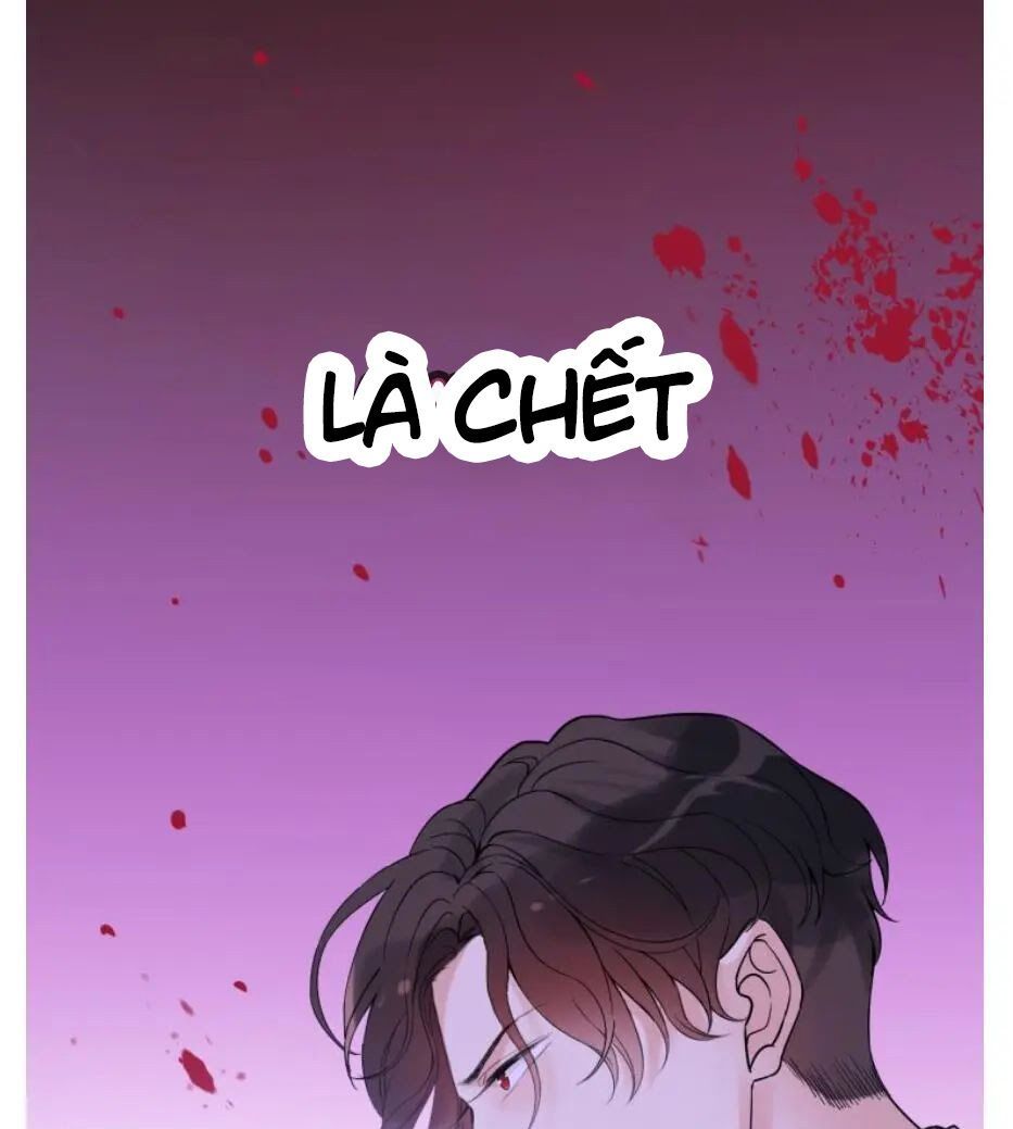 đọc truyện Cô Vợ Hợp Đồng Bỏ Trốn Của Tổng Giám Đốc Chương 301 ảnh 22 tại Thiên Thai Truyện