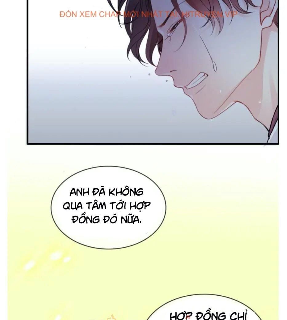 đọc truyện Cô Vợ Hợp Đồng Bỏ Trốn Của Tổng Giám Đốc Chương 301 ảnh 52 tại Thiên Thai Truyện