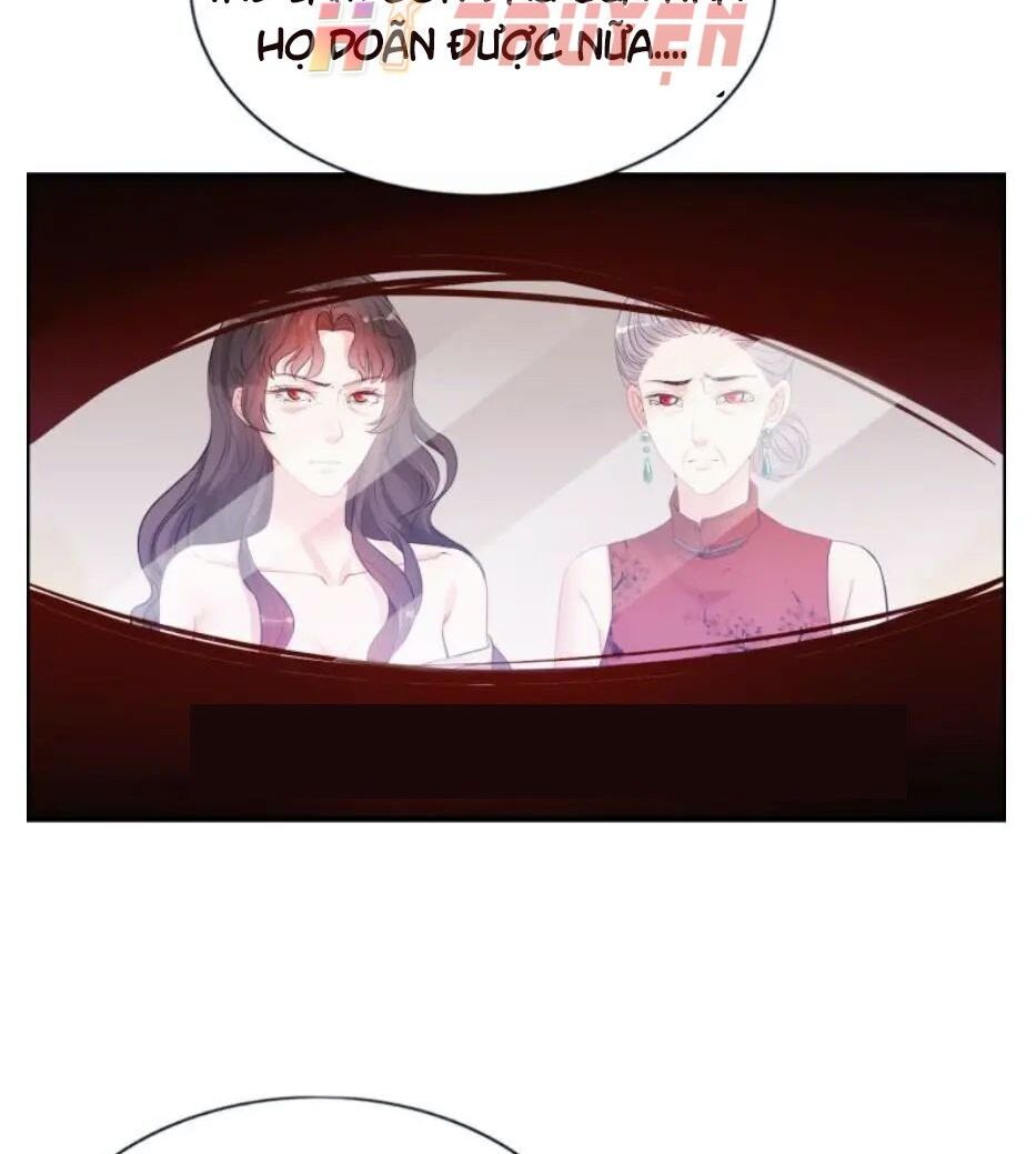 đọc truyện Cô Vợ Hợp Đồng Bỏ Trốn Của Tổng Giám Đốc Chương 301 ảnh 81 tại Thiên Thai Truyện