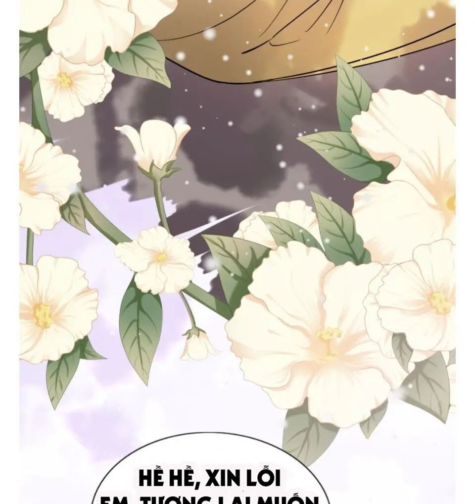 đọc truyện Cô Vợ Hợp Đồng Bỏ Trốn Của Tổng Giám Đốc Chương 302 ảnh 14 tại Thiên Thai Truyện