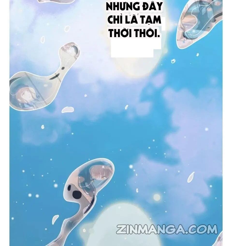 đọc truyện Cô Vợ Hợp Đồng Bỏ Trốn Của Tổng Giám Đốc Chương 302 ảnh 17 tại Thiên Thai Truyện