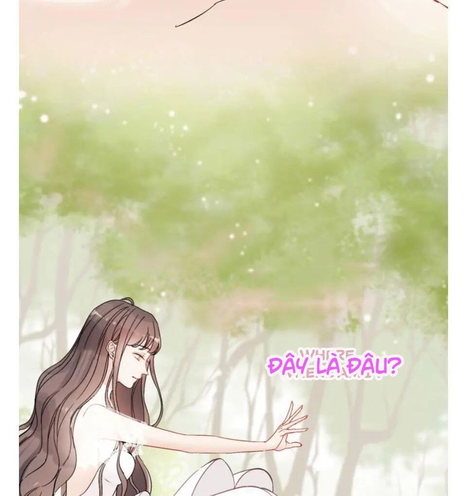 đọc truyện Cô Vợ Hợp Đồng Bỏ Trốn Của Tổng Giám Đốc Chương 302 ảnh 5 tại Thiên Thai Truyện