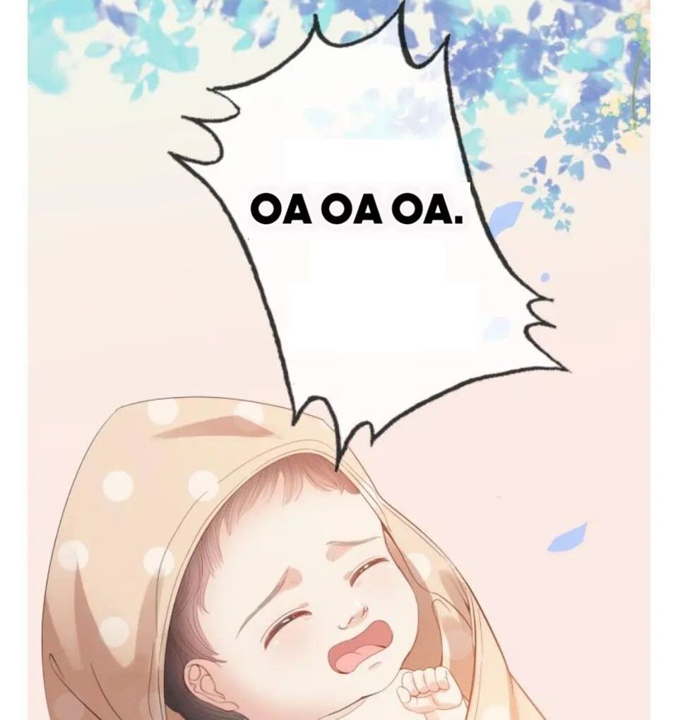 đọc truyện Cô Vợ Hợp Đồng Bỏ Trốn Của Tổng Giám Đốc Chương 302 ảnh 45 tại Thiên Thai Truyện