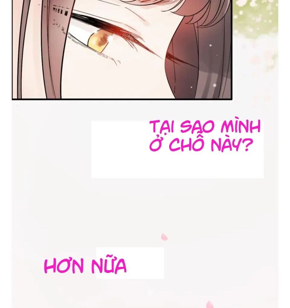 đọc truyện Cô Vợ Hợp Đồng Bỏ Trốn Của Tổng Giám Đốc Chương 302 ảnh 7 tại Thiên Thai Truyện