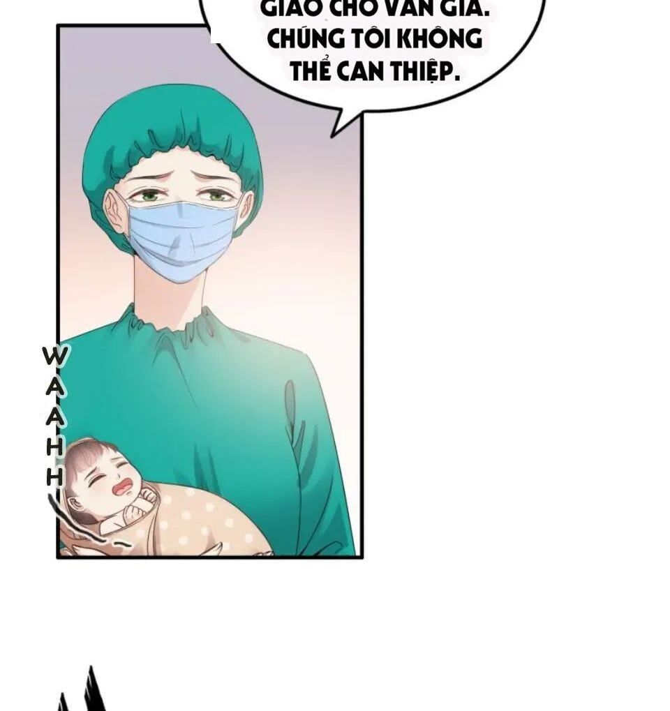 đọc truyện Cô Vợ Hợp Đồng Bỏ Trốn Của Tổng Giám Đốc Chương 302 ảnh 53 tại Thiên Thai Truyện