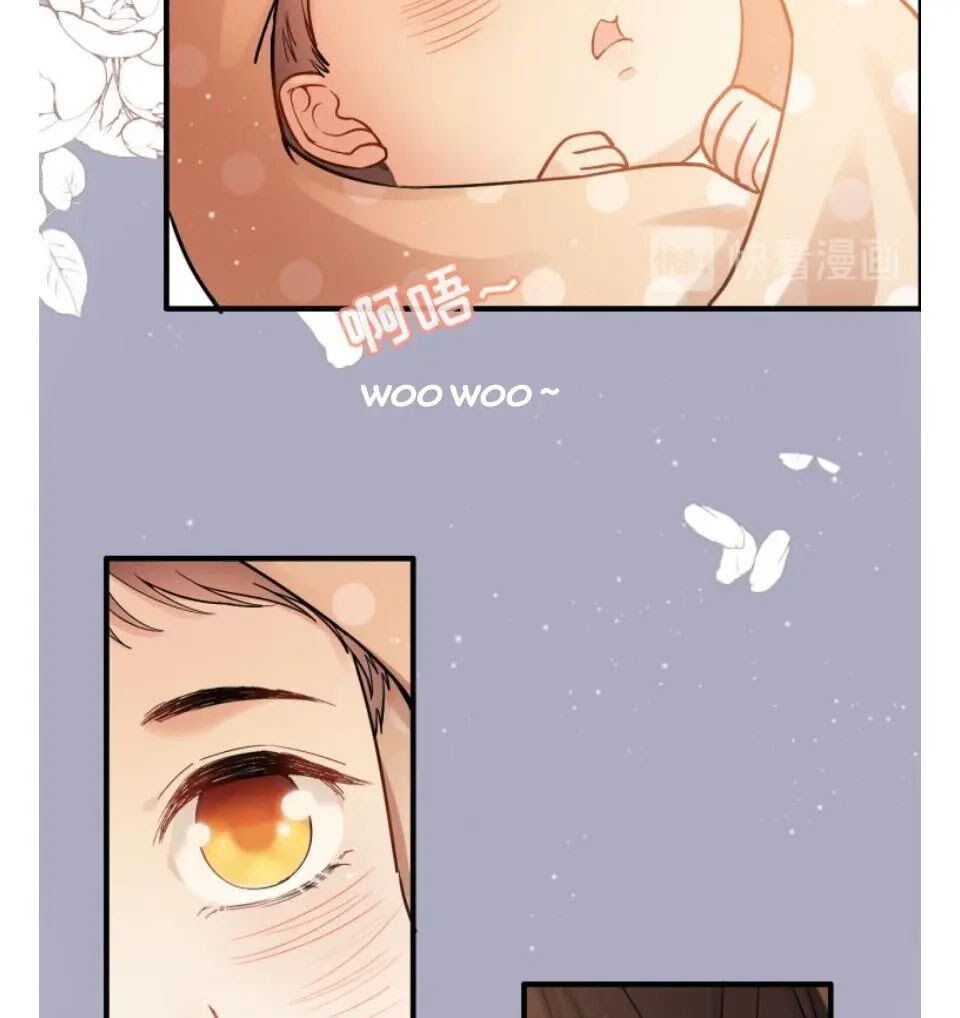 đọc truyện Cô Vợ Hợp Đồng Bỏ Trốn Của Tổng Giám Đốc Chương 302 ảnh 74 tại Thiên Thai Truyện