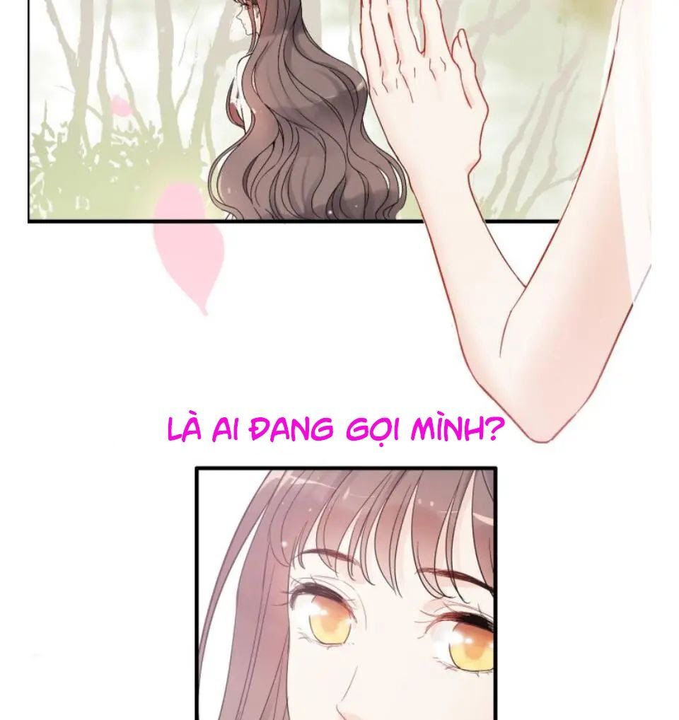 đọc truyện Cô Vợ Hợp Đồng Bỏ Trốn Của Tổng Giám Đốc Chương 302 ảnh 10 tại Thiên Thai Truyện