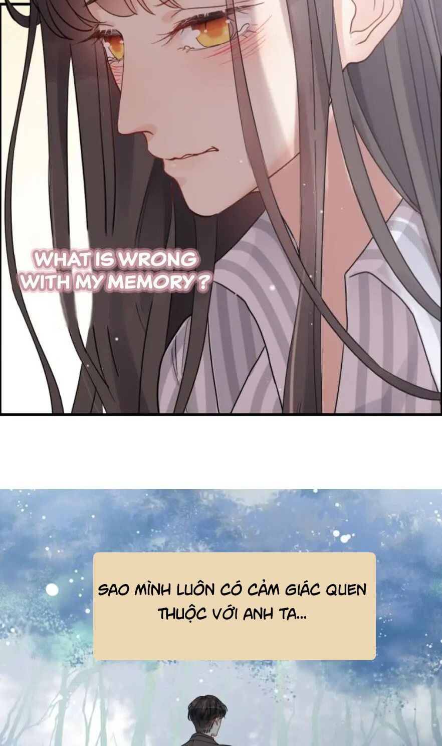 đọc truyện Cô Vợ Hợp Đồng Bỏ Trốn Của Tổng Giám Đốc Chương 303.1 ảnh 24 tại Thiên Thai Truyện