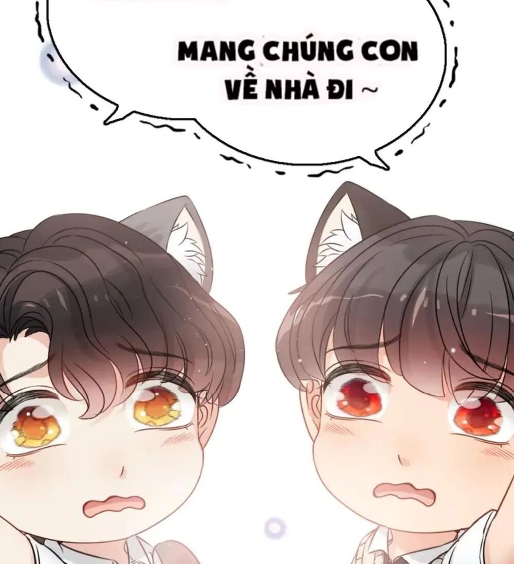 đọc truyện Cô Vợ Hợp Đồng Bỏ Trốn Của Tổng Giám Đốc Chương 305.1 ảnh 13 tại Thiên Thai Truyện