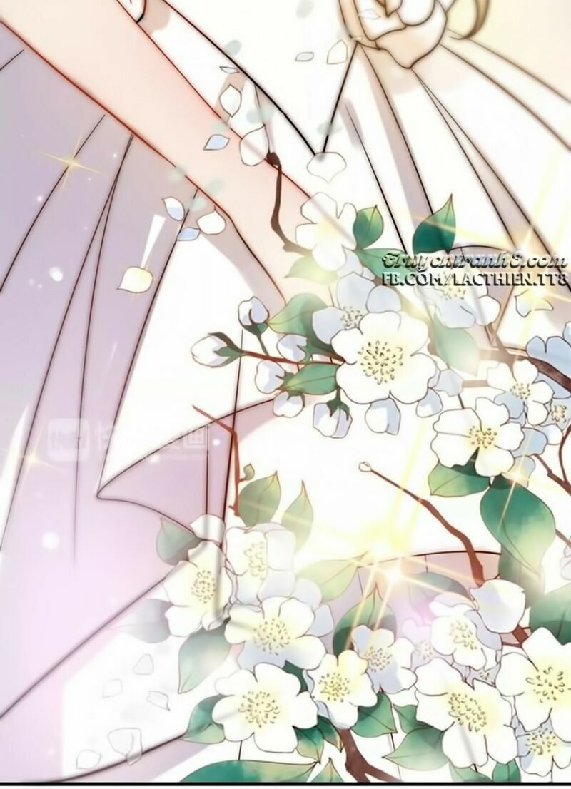 đọc truyện Cô Vợ Hợp Đồng Bỏ Trốn Của Tổng Giám Đốc Chương 31 ảnh 7 tại Thiên Thai Truyện