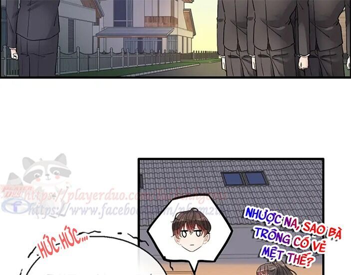 đọc truyện Cô Vợ Hợp Đồng Bỏ Trốn Của Tổng Giám Đốc Chương 310 ảnh 56 tại Thiên Thai Truyện