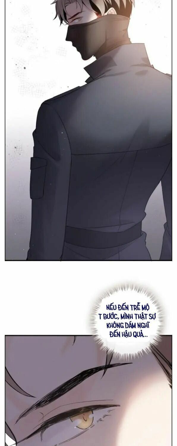 đọc truyện Cô Vợ Hợp Đồng Bỏ Trốn Của Tổng Giám Đốc Chương 312 ảnh 19 tại Thiên Thai Truyện