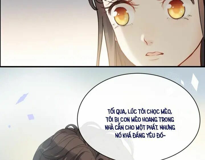 đọc truyện Cô Vợ Hợp Đồng Bỏ Trốn Của Tổng Giám Đốc Chương 315 ảnh 83 tại Thiên Thai Truyện