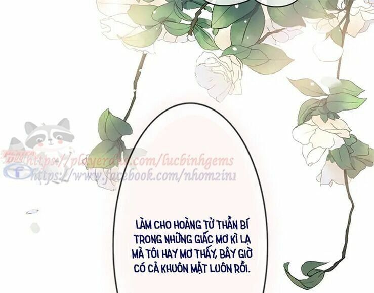 đọc truyện Cô Vợ Hợp Đồng Bỏ Trốn Của Tổng Giám Đốc Chương 316 ảnh 21 tại Thiên Thai Truyện