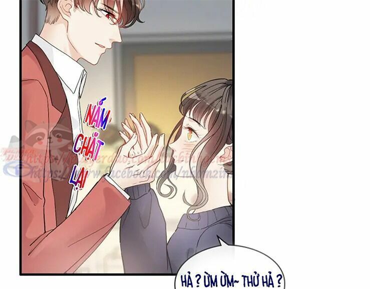 đọc truyện Cô Vợ Hợp Đồng Bỏ Trốn Của Tổng Giám Đốc Chương 316 ảnh 90 tại Thiên Thai Truyện