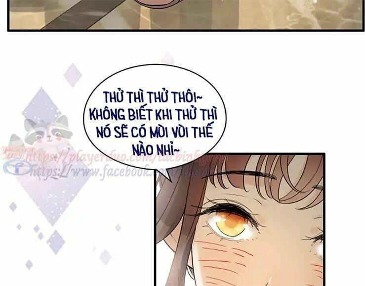 đọc truyện Cô Vợ Hợp Đồng Bỏ Trốn Của Tổng Giám Đốc Chương 316 ảnh 92 tại Thiên Thai Truyện