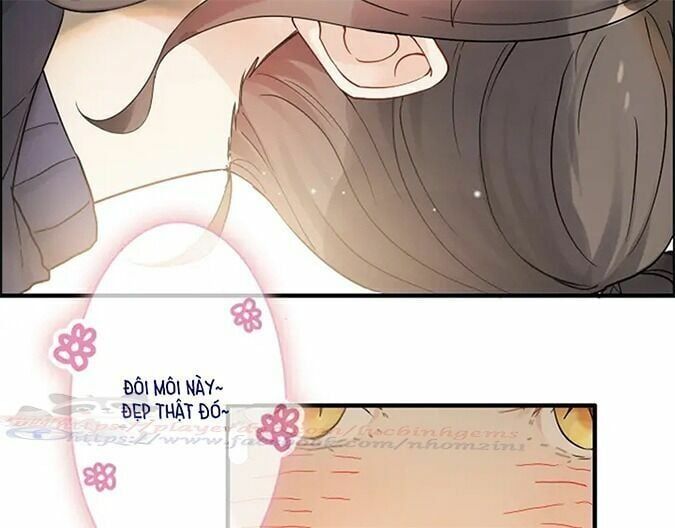 đọc truyện Cô Vợ Hợp Đồng Bỏ Trốn Của Tổng Giám Đốc Chương 317 ảnh 12 tại Thiên Thai Truyện