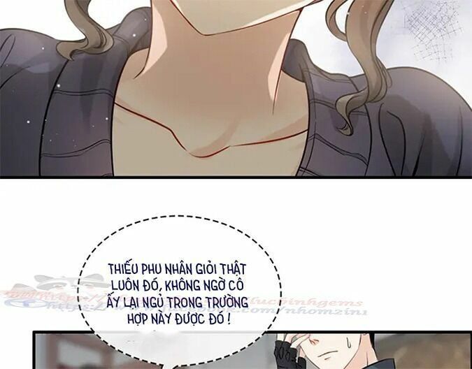 đọc truyện Cô Vợ Hợp Đồng Bỏ Trốn Của Tổng Giám Đốc Chương 317 ảnh 27 tại Thiên Thai Truyện