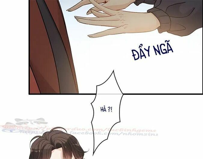 đọc truyện Cô Vợ Hợp Đồng Bỏ Trốn Của Tổng Giám Đốc Chương 317 ảnh 6 tại Thiên Thai Truyện