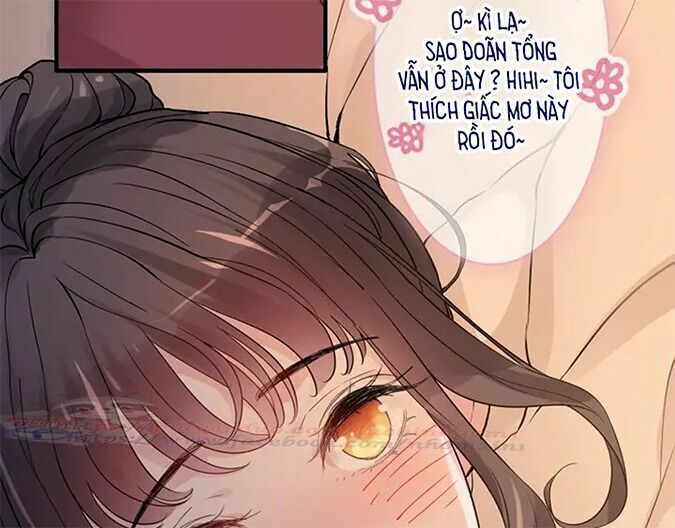 đọc truyện Cô Vợ Hợp Đồng Bỏ Trốn Của Tổng Giám Đốc Chương 317 ảnh 65 tại Thiên Thai Truyện