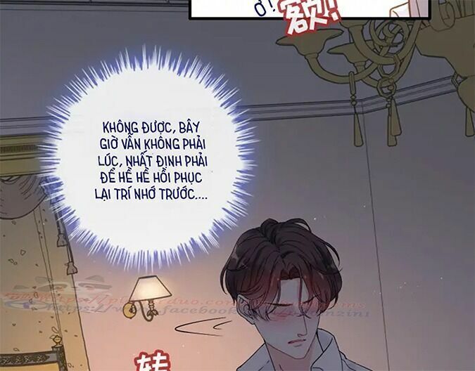 đọc truyện Cô Vợ Hợp Đồng Bỏ Trốn Của Tổng Giám Đốc Chương 317 ảnh 82 tại Thiên Thai Truyện