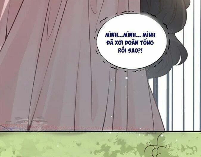 đọc truyện Cô Vợ Hợp Đồng Bỏ Trốn Của Tổng Giám Đốc Chương 318 ảnh 23 tại Thiên Thai Truyện