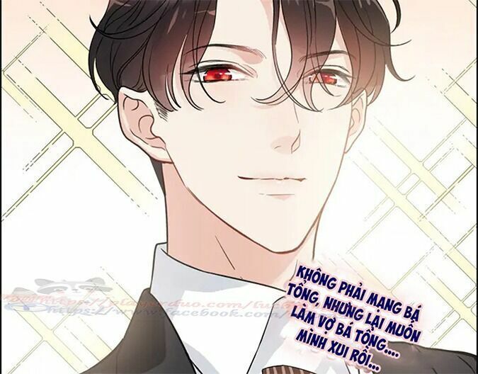 đọc truyện Cô Vợ Hợp Đồng Bỏ Trốn Của Tổng Giám Đốc Chương 318 ảnh 29 tại Thiên Thai Truyện