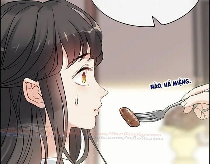 đọc truyện Cô Vợ Hợp Đồng Bỏ Trốn Của Tổng Giám Đốc Chương 318 ảnh 71 tại Thiên Thai Truyện