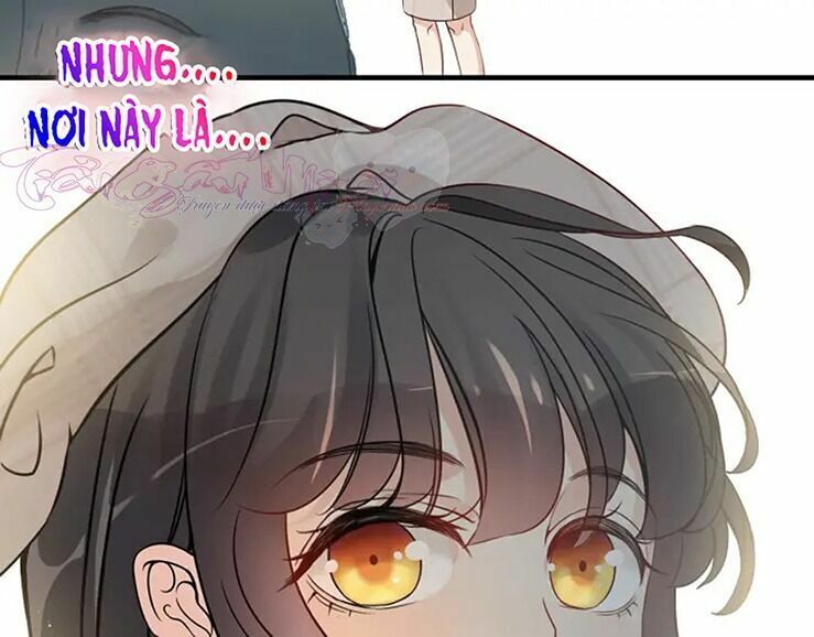 đọc truyện Cô Vợ Hợp Đồng Bỏ Trốn Của Tổng Giám Đốc Chương 319 ảnh 93 tại Thiên Thai Truyện