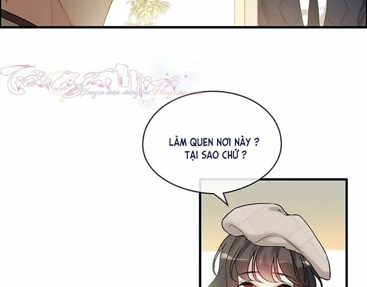 đọc truyện Cô Vợ Hợp Đồng Bỏ Trốn Của Tổng Giám Đốc Chương 320 ảnh 46 tại Thiên Thai Truyện