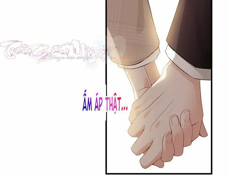 đọc truyện Cô Vợ Hợp Đồng Bỏ Trốn Của Tổng Giám Đốc Chương 320 ảnh 51 tại Thiên Thai Truyện